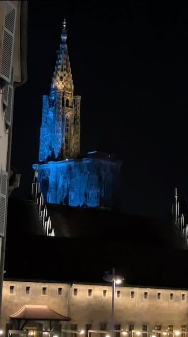 Luxueux Appartement Pres De La Cathedrale Strasbourg Eksteriør billede